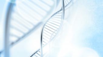 Methyl Age DNS tests 