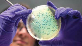 Kas zināms par zarnu mikrobiotu?